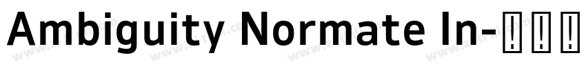 Ambiguity Normate In字体转换